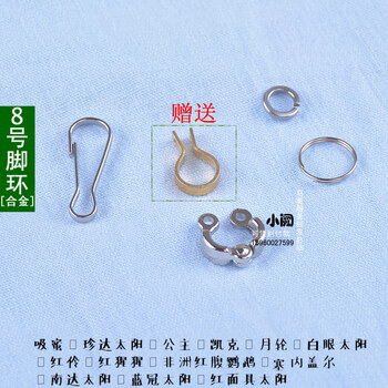 多说了些部队的情况