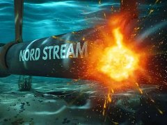 它明确驳回了乌克兰籍嫌