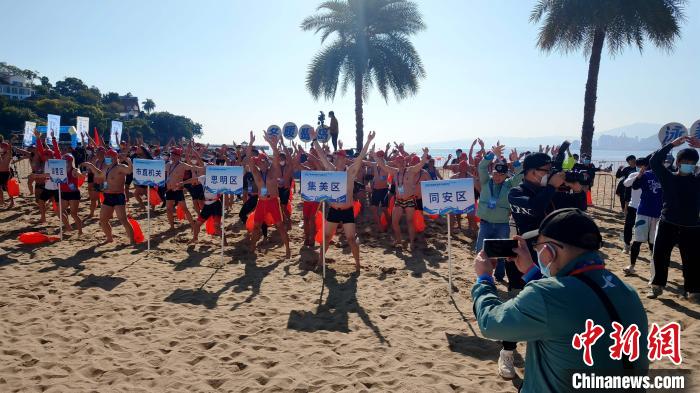 海风见证下的厦鼓海峡冬泳嘉年华:约300名泳士