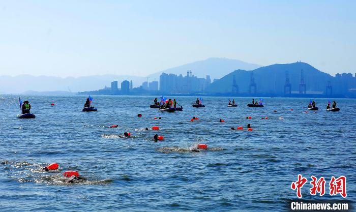 海风见证下的厦鼓海峡冬泳嘉年华:约300名泳士